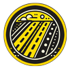 icon 15